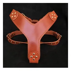 Bestia Hundegeschirr Style