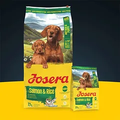 Josera Mother and Puppy sausas pašaras šunims vaikingoms kalėms ir šuniukams su lašišair ryžiais, 12,5 kg — 2 nuotrauka