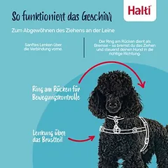 Halti Front Control treniruočių petnešos, Dydis S: Krūtinės apimtis 36 - 64 cm — 2 nuotrauka