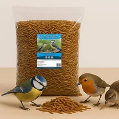 Futterbauer Mehlwürmer getrocknet