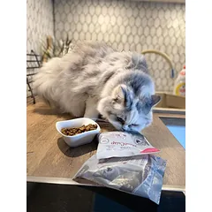 Platinum MeatCrisp sausas pašaras suaugusioms katėms su žuvimi, 1.5kg — 4 nuotrauka