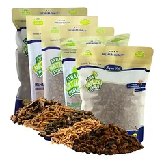 Lyra Pet® džiovintų vabzdžių bandomasis mišinys, 5 x 1 kg talpykloje — 2 nuotrauka