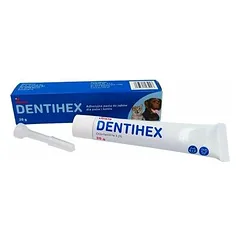 Dentihex 20 g nuotrauka