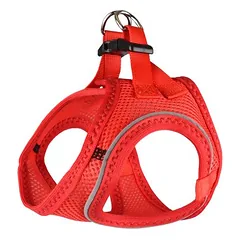 Flamingo Geschirr Step & Go Bento rot