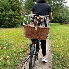 Aumüller dviračio krepšys šunims ant bagažinės su apsaugos grotelėmis, Dydis S: L 48 x B 34 x H 44 cm — 3 nuotrauka