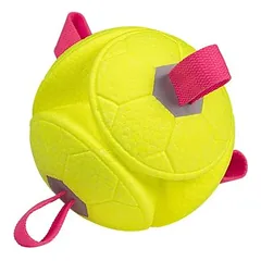 Schwimmender Hunde-Football, robustes Outdoor-Spielzeug