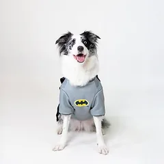 WARNER BROS DC Batman kostiumas šunims, Dideliems 26–45 kg — 4 nuotrauka
