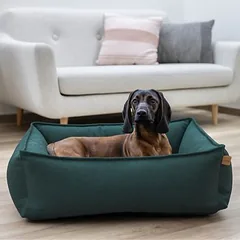 Kerbl Pet guolis katėms Oliver, L 110 x B 85 cm — 4 nuotrauka