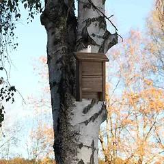 Šikšnosparnių namelis Relaxdays, 29 × 18 × 6 cm — 2 nuotrauka