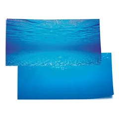 Fonas 60×30 Poster 2 S