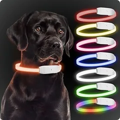 PAJ šviečiantis antkaklis šunims – Light Collar, Juoda — 2 nuotrauka