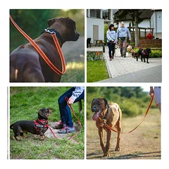 Julius K-9 Antislip 20mm x 2m pavadėlis šunims su rankena (Raudonas) — 2 nuotrauka