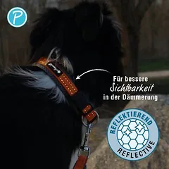 Petlando Outdoor antkaklis, oranžinis, Dideliems 26–45 kg — 3 nuotrauka