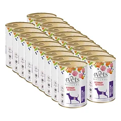 4Vets šunims virškinimo traktas 18x400g