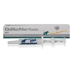 DiReNe Paste nuotrauka