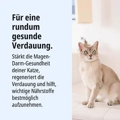 Virbac Veterinary Cat HPM Digestive Support drėgnas maistas katėms — 3 nuotrauka