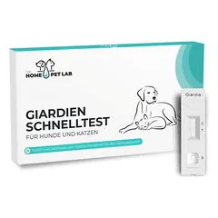 HomePetLab greitasis giardijų testas šunims ir katėms, 1 vnt. pakuotė — 2 nuotrauka