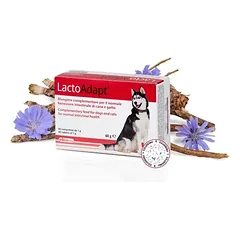 DOGOTEKA LactoAdapt 60 tabl. parduotuvėje pethappy.lt