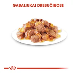 ROYAL CANIN FHN Sterilised in jelly konservai drebučiuose sterilizuotoms katėms 12x85 g — 3 nuotrauka