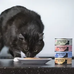 Comfy Appetit Premium konservai katėms su lašiša, 85 g — 4 nuotrauka