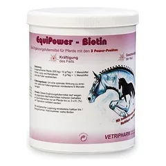 Equipower Biotin, papildas — 2 nuotrauka
