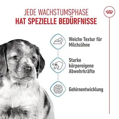 Royal Canin Medium Puppy padaže, drėgnas maistas šunims — 4 nuotrauka