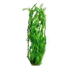 Augalas dirbtinis 80 cm