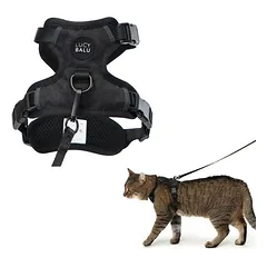LucyBalu petnešos katėms EXPLORER, M/L - juoda — 5 nuotrauka
