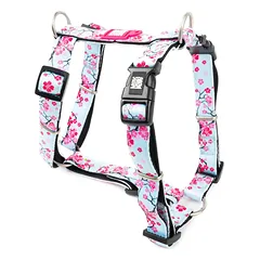 Max&Molly H - Cherry Bloom petnešos - spalvingos petnešos šunims ir šuniukams, reguliuojamos — 5 nuotrauka