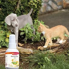 beaphar Derma Care purškalas šunims, 75 ml — 3 nuotrauka