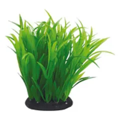 Aquael dirbtinis augalas akvariumui
