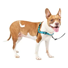 PetSafe Easy Walk Deluxe Harness Ocean - minkštas šunų pakinktų ir pavadėlio komplektas, juodas, Niebieskie / S — 2 nuotrauka