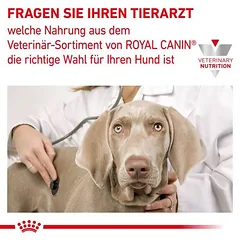 Royal Canin Veterinary Canine Recovery Mousse drėgnas maistas šunims — 5 nuotrauka