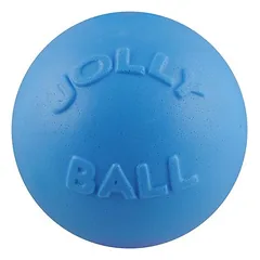 Jolly Pets Bounce-N-Play