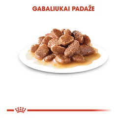 ROYAL CANIN FHN Digest sensitive in gravy konservai padaže suaugusioms jautrioms katėms 12x85 g — 4 nuotrauka