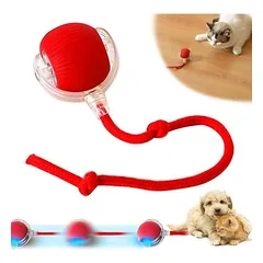 Katzenball – automatisches Interaktionsspielzeug für Spiel und Stimulation