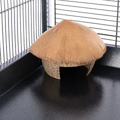TIAKI kokoso riešuto namelis žiurkėnams ir pelėms, apie Ø 16 x H 13 cm — 2 nuotrauka
