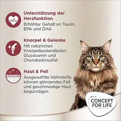 Concept for Life Maine Coon Adult su lašiša, begrūdis sausas maistas katėms, < 1,4 kg — 4 nuotrauka