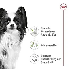 Royal Canin X-Small Adult sausas maistas šunims, 3 - 4,9 kg — 2 nuotrauka