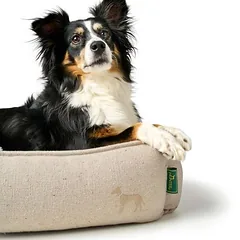 HUNTER Recycling Hundesofa Belluno