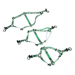 WARNER BROS Harry Potter Slytherin petnešos, žalios, Dideliems 26–45 kg — 5 nuotrauka