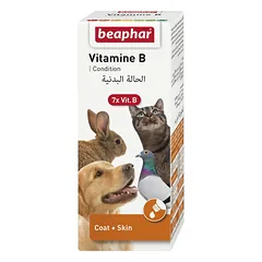 VITAMINŲ B KOMPLEKSAS 50 ML – vitaminų B rinkinys