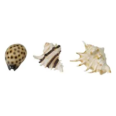 Aqua Della Aquarium Dekoration Sea Shell Mix