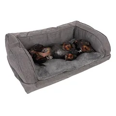 TIAKI ortopedinė sofa šunims, pilka, Dydis S: L 75 x B 50 x H 25 cm — 4 nuotrauka