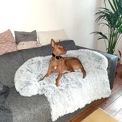 zooplus Exclusive guolio paklotas Sofa Cloud Waterproof, atsparus vandeniui, Dideliems 26–45 kg — 3 nuotrauka