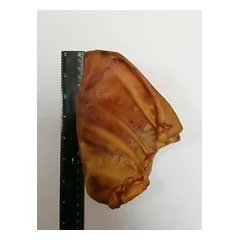 Dried pig ear 18cm, 1 pcs.