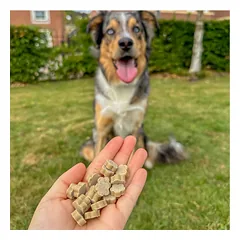 SOOPA Kokosų ir Čija sėklų skanėstai šunims, Coconut & Chia Seed Dog Treats, 50g — 5 nuotrauka