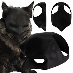 Katino kaukė Batman Bat-Cat kostiumas Helovino viral TikTok