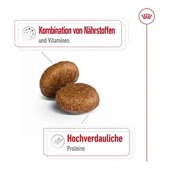 Royal Canin Maxi Adult 5+ sausas maistas šunims — 4 nuotrauka