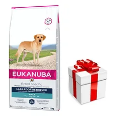 EUKANUBA Adult Labrador Retriever 12kg + STAIGMENA ŠUNIUI